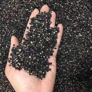 Hắc Kỷ Tử - Thần Dược Tự Nhiên Cho Sức Khỏe Và Làm Đẹp