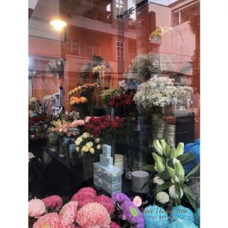 [50 gói] Nước dưỡng hoa Hana 10ml