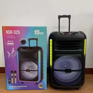 Loa Kéo Di Động Karaoke NDR-325 (Bass 15", 2 Micro)