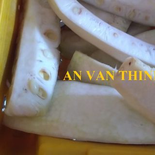 MÍT NON ĐÔNG LẠNH, IQF YOUNG JACKFRUIT IQF, FROZEN YOUNG JACKFRUIT FROZEN, IQF GREEN JACKFRUIT IQF, FROZEN GREEN JACKFRUIT FROZEN TO EXPORT FROM AN VAN THINH FOOD COMPANY (AVTF / AVTFOOD)