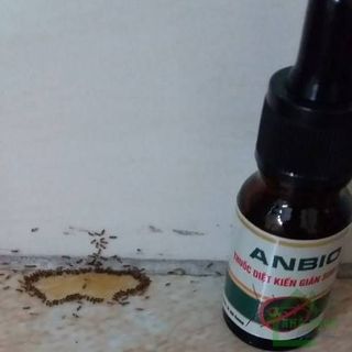 Thuốc Diệt Kiến Gián Sinh Học Anbio
