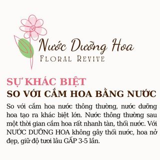 Thùng 20 Hộp Nước Dưỡng Hoa Hana 10ml (Loại 50 gói)