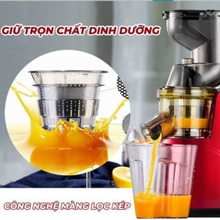 MÁY ÉP CHẬM HONGXIN RH312 CTB110 - BECHIP