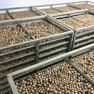 TỎI ĐEN CHÂU YÊN, TỎI ĐEN CÔ ĐƠN 500G CTB134 - BECHIP
