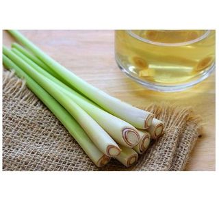 NƯỚC LAU SÀN TINH DẦU SẢ, NƯỚC CẤT TINH DẦU XẢ LAU SÀN, TINH DẦU SẢ NGUYÊN CHẤT 1 LÍT CTB333 - BECHIP