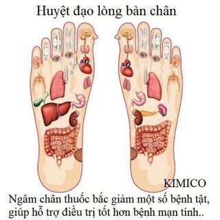 HỘP 50 MIẾNG DÁN NGẢI CỨU THẢI ĐỘC CHÂN BẮC KINH AN TOÀN, HIỆU QUẢ CTB442 - BECHIP