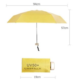 Ô DÙ GẤP GỌN MINI BỎ TÚI KÍCH THƯỚC NHỎ GỌN CTB432 - BECHIP