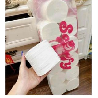 BỊCH 12 CUỘN GIẤY VỆ SINH 5 LỚP HÌNH GẤU DÂU SOFY SIÊU MỊN, SIÊU DAI CTB310 - BECHIP