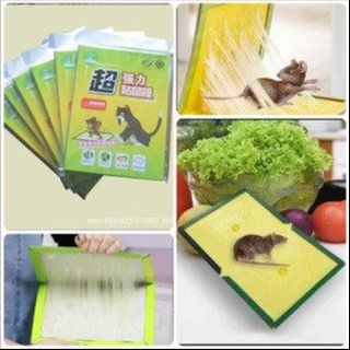 KEO BẪY CHUỘT SIÊU DÍNH CTB548 - BECHIP