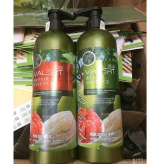CẶP DẦU GỘI XẢ BƯỞI GRAPEFRUIT HAIR COLLAGEN REPAIR KÍCH THÍCH MỌC TÓC 1700ML CTB304 - BECHIP