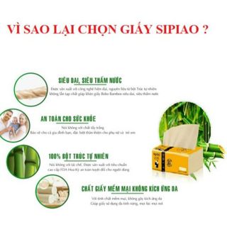 BỊCH 10 GÓI KHĂN GIẤY GẤU TRÚC SIPIAO CTB59 - BECHIP