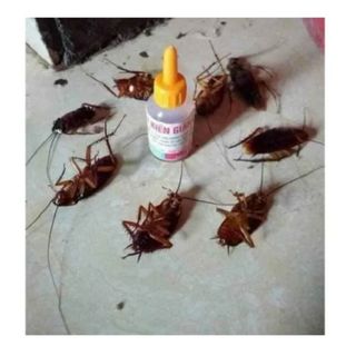 SET 5, 10 LỌ THUỐC DIỆT KIẾN GIÁN SINH HỌC HIỆU QUẢ - BECHIP