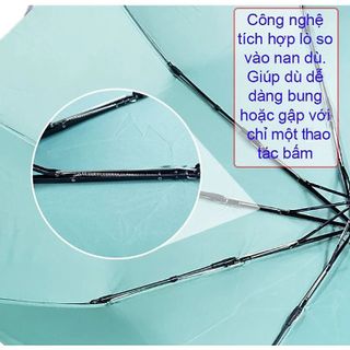 Ô DÙ TỰ ĐỘNG 2 CHIỀU GẤP GỌN 10 NAN XUẤT NHẬT CAO CẤP CTB388 - BECHIP