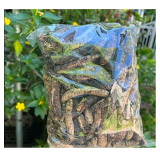 CHUỐI HỘT RỪNG TÂY NGUYÊN GOI 1KG CTB38 - BECHIP