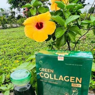 (HỘP 30 GÓI) Diệp Lục Collagen Gold Hôp 30 Gói-Thanh Lọc Giải Độc-Hổ Trợ Giảm Mụn