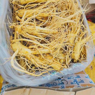 Nhân sâm Hàn Quốc