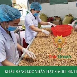 Tuk Green - Đối Tác Tin Cậy Cung Cấp Hạt Sachi Sấy Giòn - Nguyên Liệu Hoàn Hảo Cho Sữa Hạt Số Lượng Lớn và Chất Lượng Cao Tại Tây Nguyên