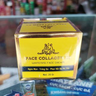 Kem Face Collagen X3 Mỹ Phẩm Đông Anh giá sỉ
