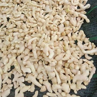 Gừng cạo vỏ cấp đông