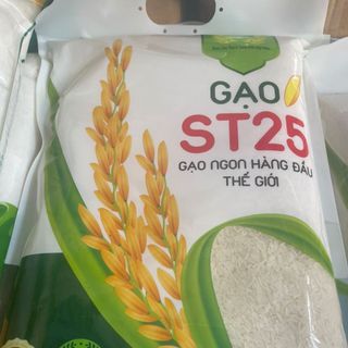 Gạo ST25 thường