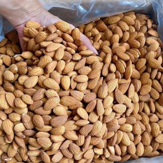 Hạt hạnh nhân giá sỉ