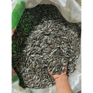 HẠT TẾT MIX 3 VỊ, HƯỚNG DƯƠNG, HẠT DƯA, HẠT BÍ TRẮNG - WINNIE HOUSE