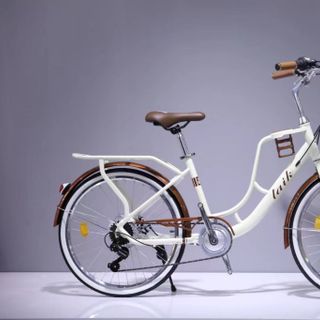 Sỉ xe đạp nữ cao cấp