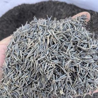 Hạt Giống Hoa Cúc Sao Nhái Trắng (100 GRAM/BAO)