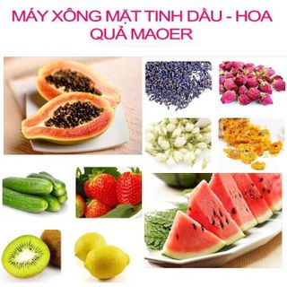 MÁY XÔNG MẶT MOER, MÁY XÔNG MẶT HOA QUẢ, MÁY XÔNG MẶT THẢO DƯỢC - CÓ HÀNG