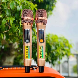 Loa Xách Tay Karaoke Chính Hãng MTMAX DK11Pro 3 Đường Tiếng 2 Bass 16 Công Suất Lớn Thiết Kế Hình Bầu Dục Đường Cong Mềm Mại