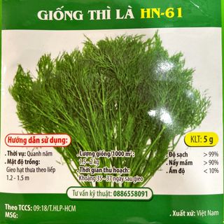 Hạt giống rau Thì Là (5 GRAM/BAO)
