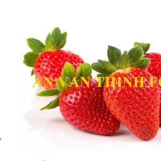 DÂU TÂY ĐÔNG LẠNH, IQF STRAWBERRY IQF, FROZEN STRAWBERRY FROZEN TO EXPORT FROM AN VAN THINH FOOD COMPANY (AVTF / AVTFOOD)