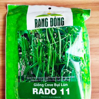 Gói 100gr Hạt giống đậu que Cove bụi lùn RD11