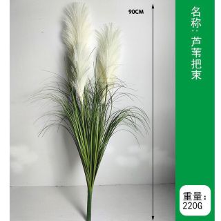Cụm lau nhân tạo 5 bông