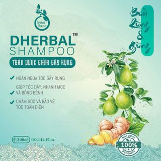 Dầu Gội Thảo Dược