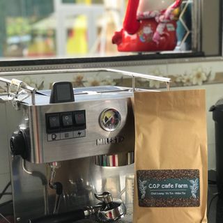 Cà phê hạt - Robusta s18