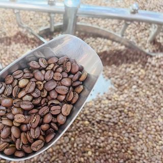 Cà phê hạt - Robusta s18