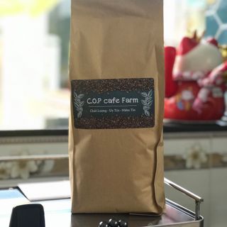 Cà phê hạt - Robusta s18
