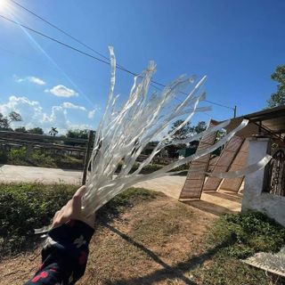 Miến rong sợi to điện biên