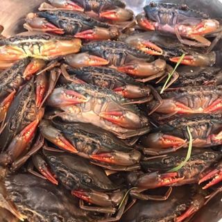 Cua lột chiên giòn cực ngon size 8-12 con/kg vỉ 500gr (giao hỏa tốc TPHCM)