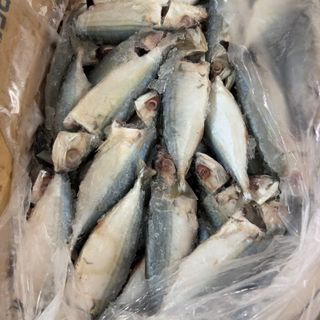 Cá bạc Má tươi ngon làm sạch cấp đông 1kg (giao tphcm)
