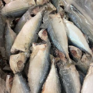 Cá bạc Má tươi ngon làm sạch cấp đông 1kg (giao tphcm)