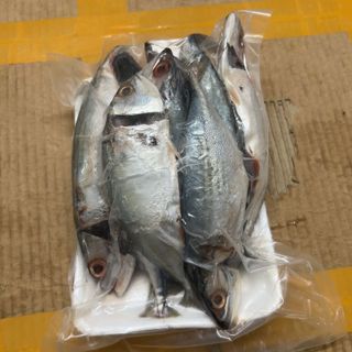 Cá bạc Má tươi ngon làm sạch cấp đông 1kg (giao tphcm)