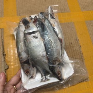 Cá bạc Má tươi ngon làm sạch cấp đông 1kg (giao tphcm)