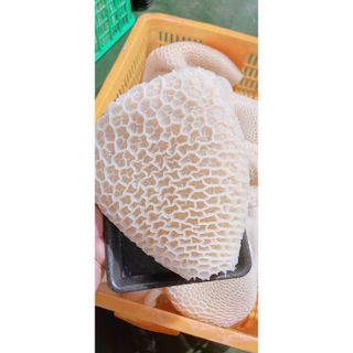 Tổ Ong Bò đã được luộc chín và làm sạch 1kg (giao tphcm)