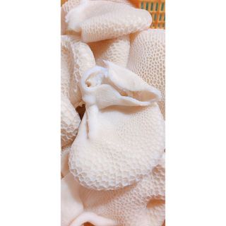 Tổ Ong Bò đã được luộc chín và làm sạch 1kg (giao tphcm)