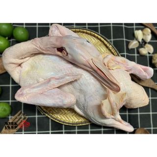 Vịt tươi nguyên con cấp đông không lòng 1,5kg đến 1,7kg (giao tphcm) giá sỉ