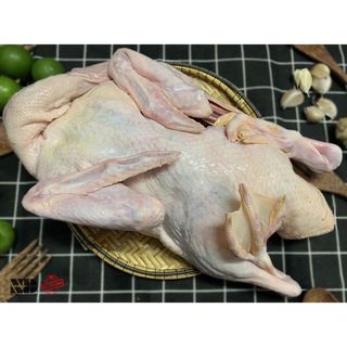 Vịt tươi nguyên con cấp đông không lòng 1,3kg (giao tphcm)