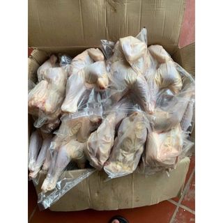 Gà Ri Nguyên Con không đầu Chưa Chế Biến (giao tphcm)