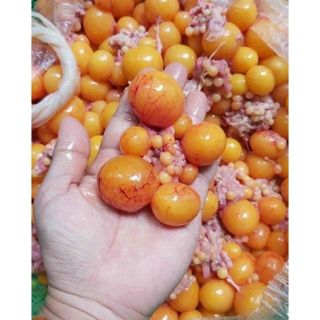 Trứng gà non hộp 500gr (tphcm)